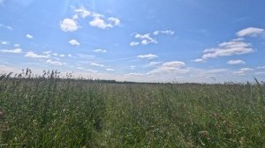 На велосипеде по полю