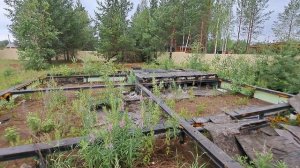 6515887 ДНТ Беседа