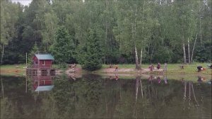 Утренний обзор с нижнего водоёма. Клёвое место, Лосиный остров.