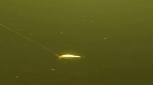 КАК ВЕДУТ СЕБЯ ВОБЛЕРЫ ПОД ВОДОЙ. РАВНОМЕРНАЯ ПРОВОДКА. ПРОВОДКА С ОСТАНОВКОЙ. КЛАССИЧЕСКИЙ ДЖИГ