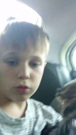 последние видео на телефон