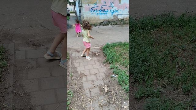 детвора