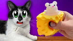 12 АНТИСТРЕССОВ и КРУТЫХ ГАДЖЕТОВ для КОТОВ А ну-ка Давай-ка ! КОТ МАЛЫШ и АНТИСТРЕССЫ ИЗ КИТАЯ!
