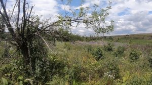 Зарисовки Доктора Барс27