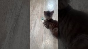VID_20250705_161508.3gp
