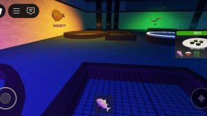 играю в роблохс