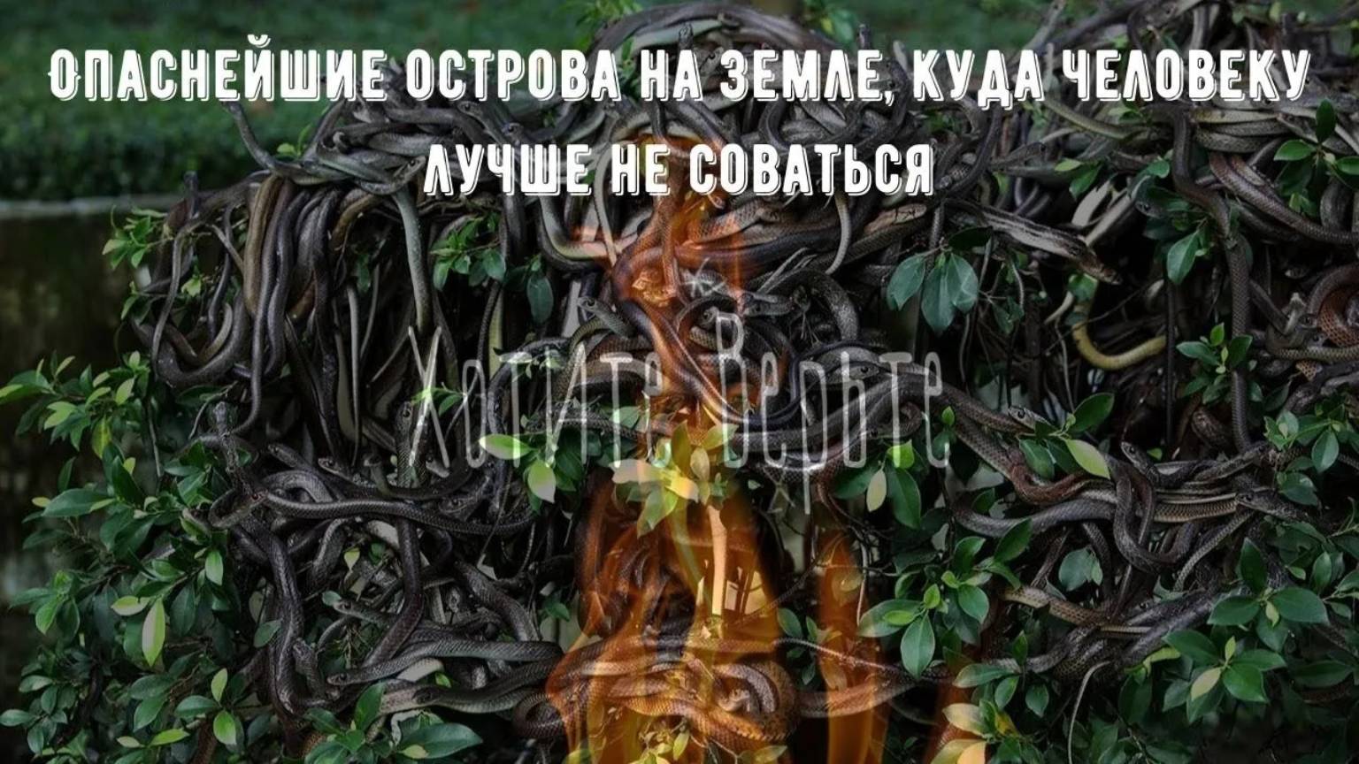 Опаснейшие острова на земле, куда человеку лучше не соваться Чит. Леонид Блудилин смотреть онлайн