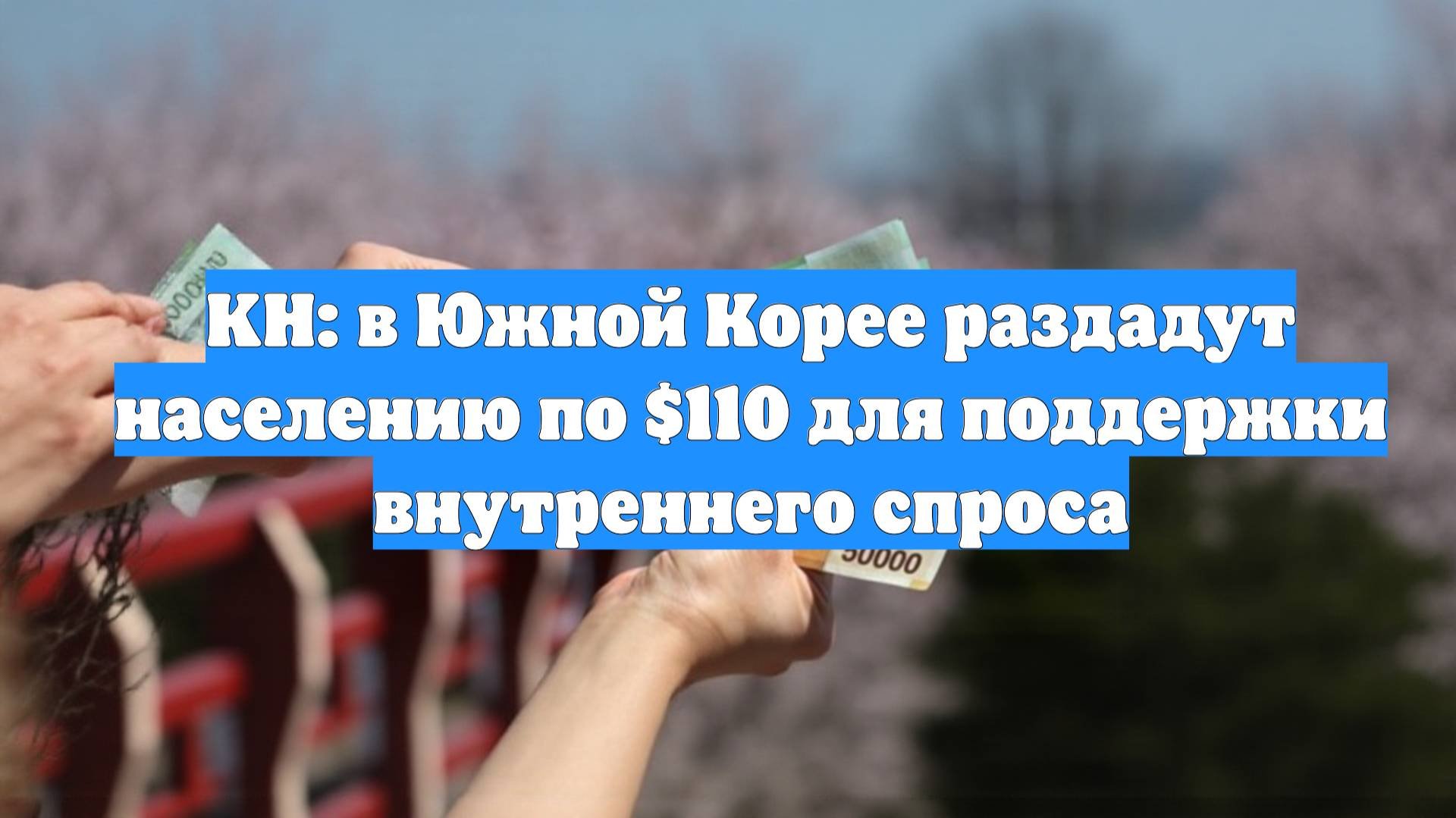 KH: в Южной Корее раздадут населению по $110 для поддержки внутреннего спроса