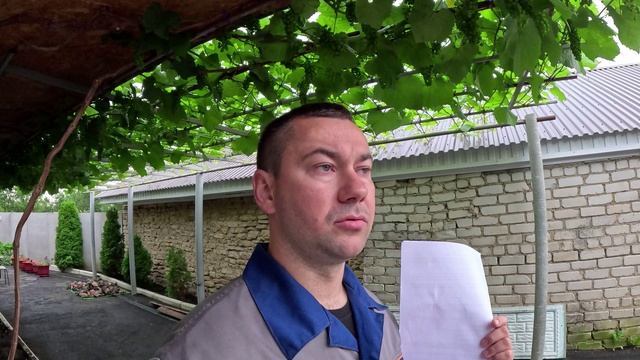 Цветение винограда под угрозой? Работы на винограднике после цветения винограда 2025 г.