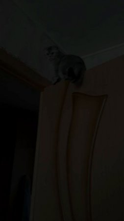 Шелли юность#Шелли#юность