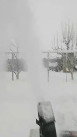 Новый Год 01-2022_15-59-35