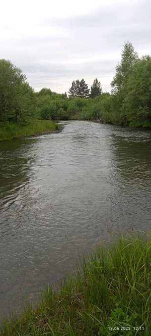 бродяги у гитары