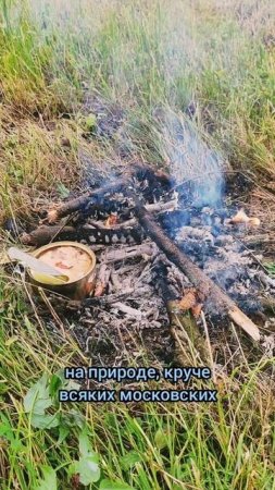Тушёнка на природе #природа #лес #лето