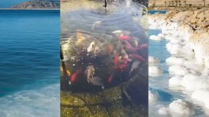 Мертвое море в Израиле
