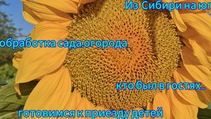 Переезд из Сибири на юг. Купили дом на юге. Наслаждаемся южной жизнью. 💖