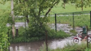 Дождь поливает огород, счастливая и уютная жизнь в деревне