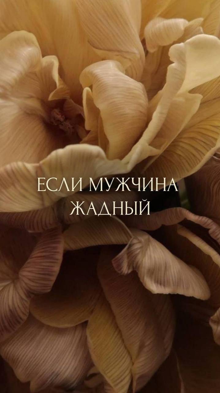 ЕСЛИ МУЖЧИНА ЖАДНЫЙ