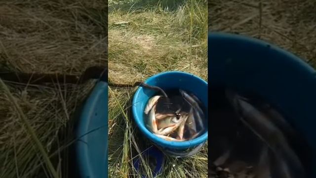 Рыбалка.