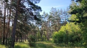 Почему хамство часто побеждает?
