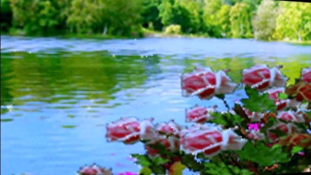 Время покажет...