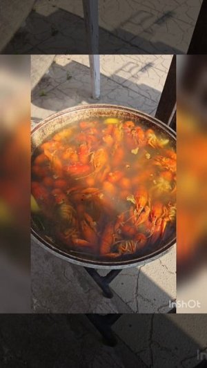Раки