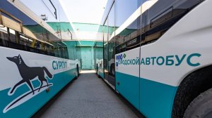 Московский эксперт раскритиковал сургутский общественный транспорт: что дальше?