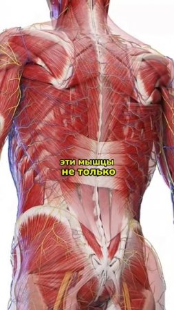 ❌ОШИБКА 99% СПОРТСМЕНОВ