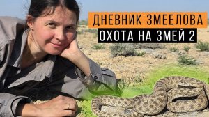 ОХОТА за ЧЕШУЕЛОБЫМ ПОЛОЗОМ в Казахстане / Змеелов - ученый