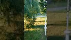 Синий