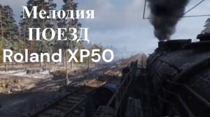 Паровоз / Locomotive: Roland XP50
