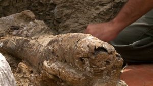 DinoChronicles: Гадрозавры коровы мелового периода