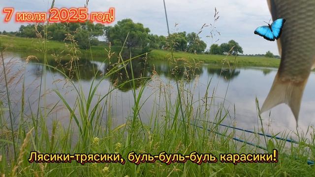 Буль-буль-буль, карасики!