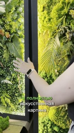 Картины из растений для дома