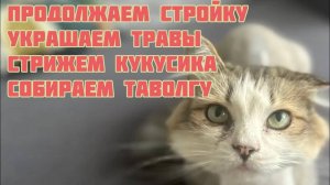 3 июля 2025 г.