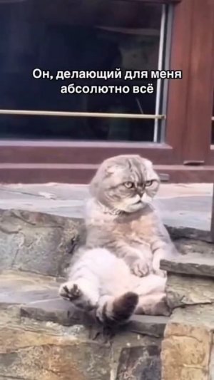 Ты знаешь, кого отметить❤️