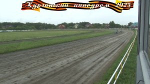 28.06.2025 - Заезд 1: Для лошадей рысистых пород 4-х лет и старше