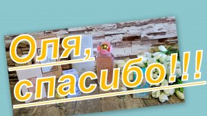 ПОТРЯСАЮЩИЙ ПОДАРОК-СЮРПРИЗ ОТ ОЛИ!!!!!!!!!!!! ЭТО ТАКОЕ МИМИШЕСТВО!!!!