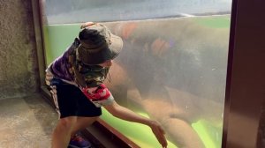 Экстремальные Прятки от ЭЛИТНОГО ОХРАННИКА !