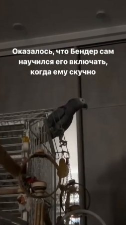 Хозяева не понимали, почему лампы постоянно горят