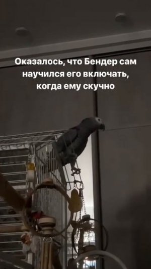 Хозяева не понимали, почему лампы постоянно горят