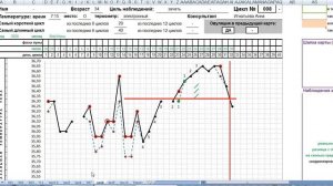 Естественная беременность после 8 месяцев неудачных попыток. Разбор по симпто-термальному методу.