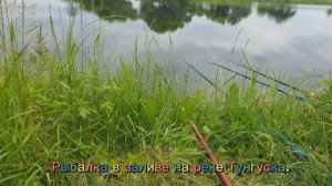 На карася