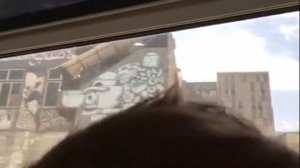 Здравствуй Израиль