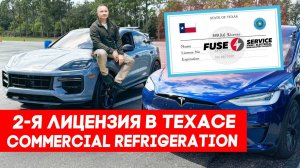 Model X или Cayenne – что выбрать   FUSE MAN