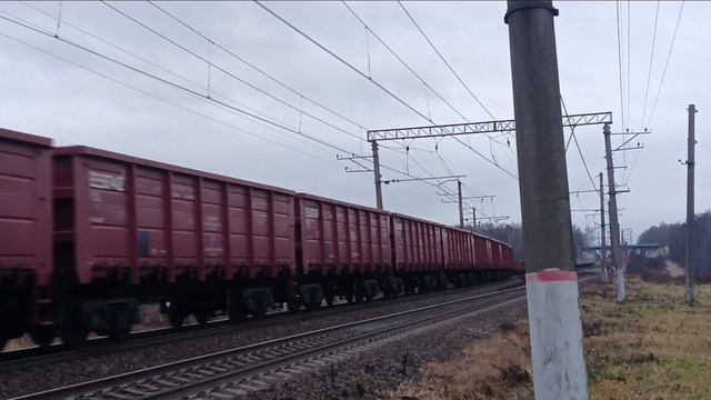 Первый месяц зимы Перегон Мга - Назия без снега Октябрьская Железная дорога смотреть онлайн