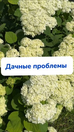 04932cf1bb7a41b5899ed1ed2b6a69d3