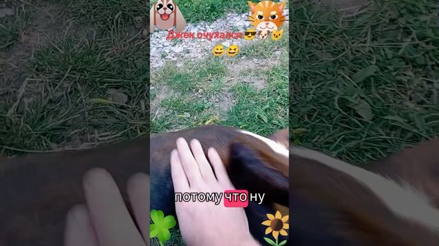 Джек очухался