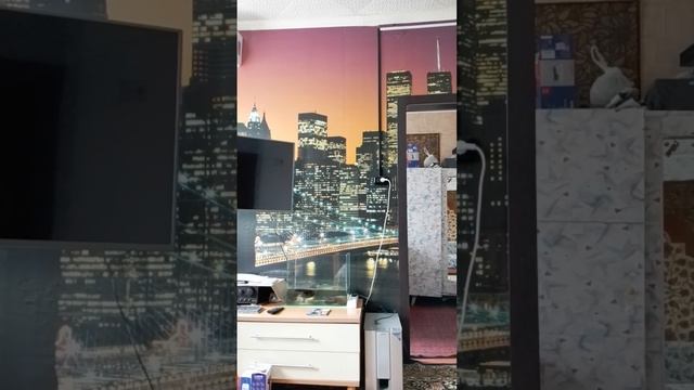 1000024557.mp4