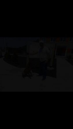 Эти зайчики обрели хозяев 🤗 Приезжайте в гости. Сочи, ул. Армянская 100 В