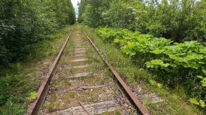 Заброшенная железная дорога